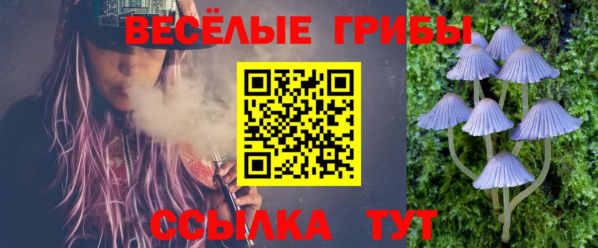 Татарск  Галлюциногенные грибы MAGIC MUSHROOMS  Псилоцибиновые грибы MAGIC MUSHROOMS  Вход с VPN 
