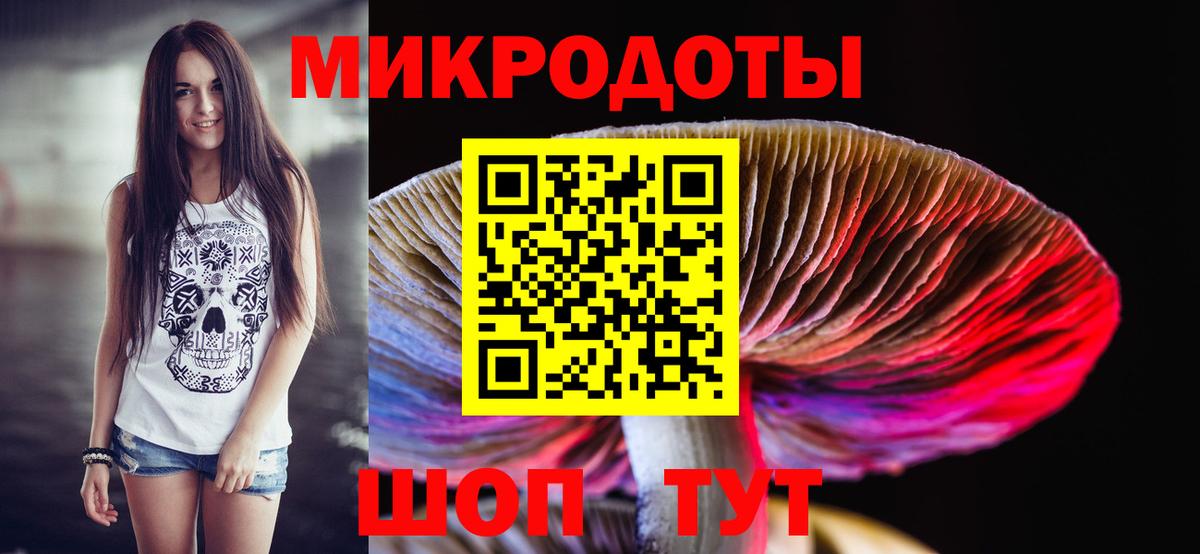 Галлюциногенные грибы Psilocybe Татарск